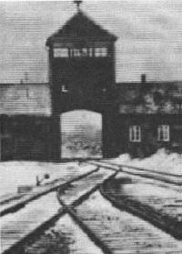Auschwitz, esta�ao final